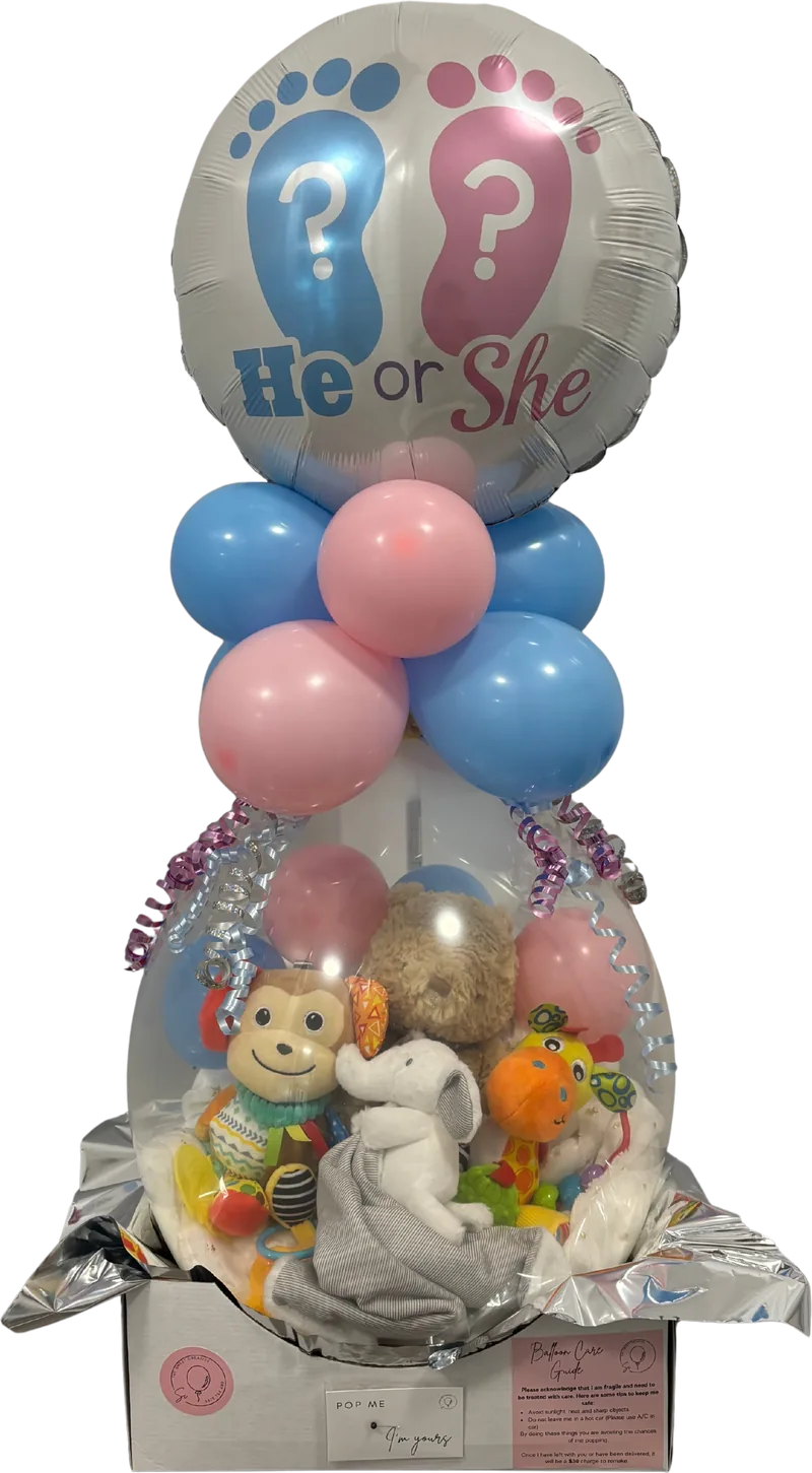 He or She, gender reveal